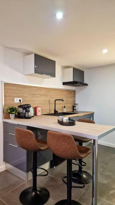 L'Atelier B Magnifique Loft Avec Terrasse Privee Apartment แซงต์-เอเตียน ภายนอก รูปภาพ